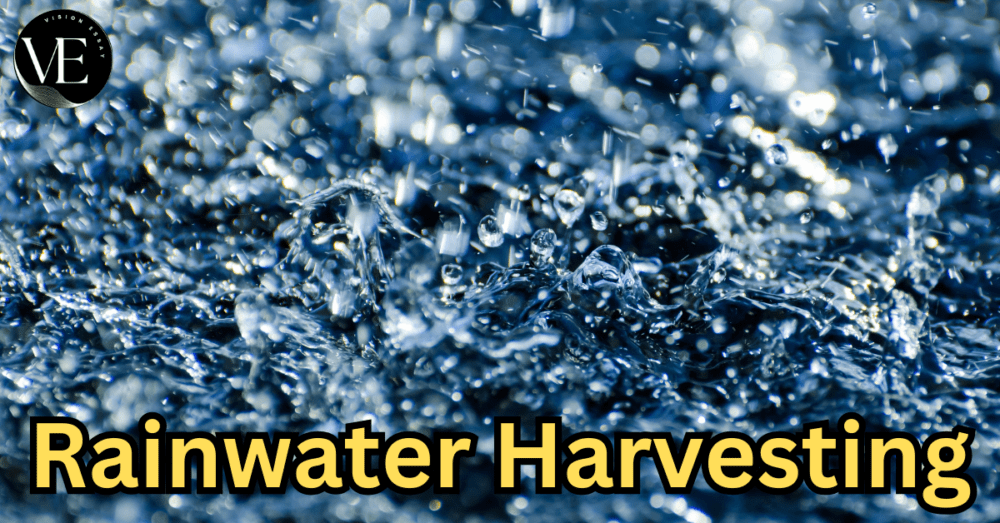Rainwater Harvesting » Vision Essay