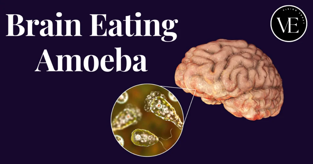 brain eating amoeba