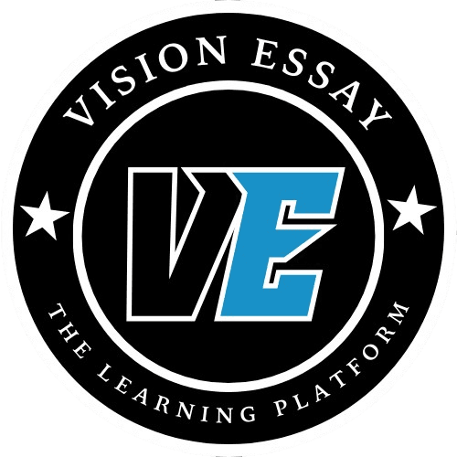 Vision Essay