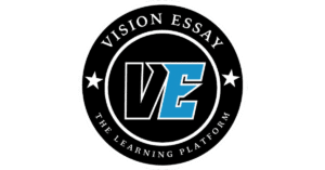 Vision Essay - The Learning Platform